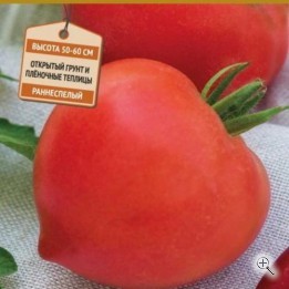 Рассада томата сорт Донской ячейки 6 шт E6