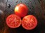 Рассада томата Гигант Андреева №39 сорт индетерминантный раннеспелый красный
