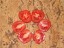 Рассада томата Канестрино № 1 № 89 сорт индетерминантный среднеспелый красный