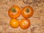 Рассада томата Оранжевый с фиолетовыми пятнами №98 сорт индетерминантный среднеспелый оранжевый