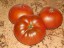 Рассада томата Арбузный №5 сорт индетерминантный среднеспелый красный