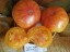 Рассада  томата Король красоты №46 сорт индетерминантный среднеспелый оранжевый