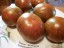 Рассада томата Большой полосатый кабан №12 сорт индетерминантный среднеспелый красный