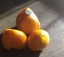 Рассада томата Земляника оранжевая №31 сорт индетерминантный среднеспелый оранжевый