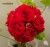 Пеларгония зональная розоцветная Дениз Д 5-7 листов (Denise) красная