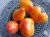 Рассада томата Оранжевый русский №97 сорт индетерминантный среднеспелый оранжевый