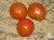 Рассада томата Эльберта персиковая №122 сорт индетерминантный среднеспелый оранжевый