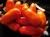 Рассада томата Джалпа №25 сорт детерминантный среднеспелый красный