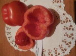 Рассада томата сорт Мещанская начинка