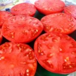 10 семян томата Исуповский №37 сорт индетерминантный, среднеспелый, красный