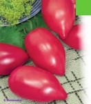 10 семян томата сорт Розовый Фламинго № 149  среднеспелый, детерминантный, сливка