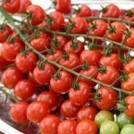 10 семян томата сорт Терек № 196 индетерминантный, ранний, красный