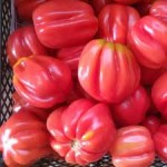 10 семян томата Этуаль №85 детерминантный, среднеспелый, розовый