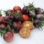 10 семян томата сорт Голубика №22 индетерминантный, среднеспелый, синий черри
