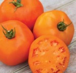 10 семян томата сорт Апельсин  №132 среднеранний, индетеринантный, оранжевый