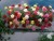 Гвоздика садовая рассада однолетних цветов в  горшке диам. 12 см